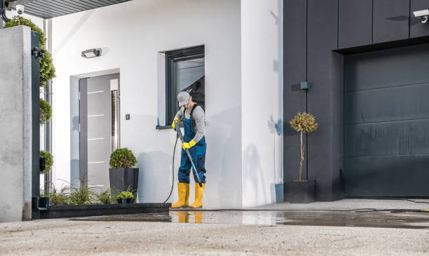 Best Dumpster Area Cleaning  in Cutten, CA